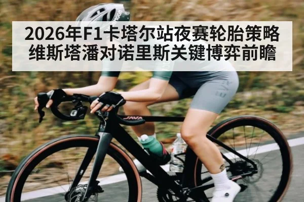 2026年F1卡塔尔站夜赛轮胎策略 维斯塔潘对诺里斯关键博弈前瞻 - kaiyun sports